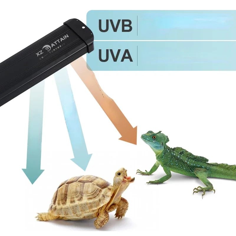 Sürüngen UVA + UVB Tam Spektru - Calcium Powder Reptile incelemesi ve fiyatı