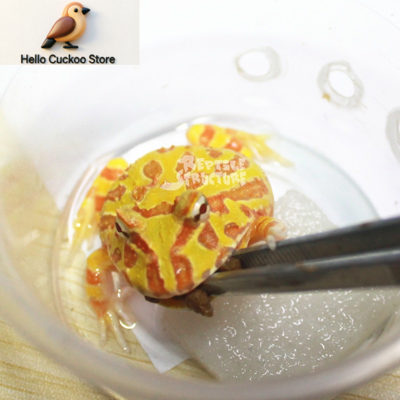 Boynuzlu Kurbağa Yemi, Granül  - Calcium Powder Reptile incelemesi ve fiyatı