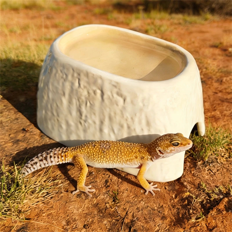 Seramik Leopar Desenli Nemli M - Hide Cave Ceramic incelemesi ve fiyatı