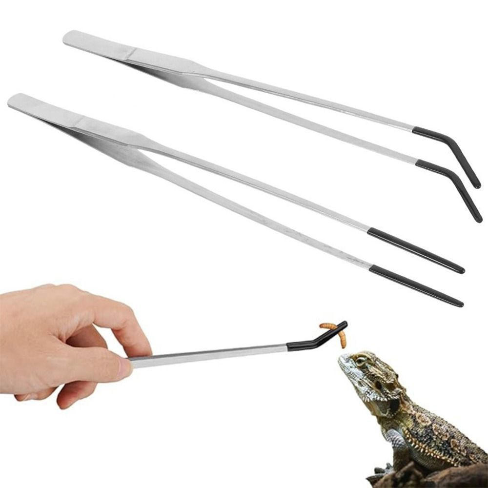 2 Adet Paslanmaz Çelik Akvaryu - Feeding Tong Stainless incelemesi ve fiyatı